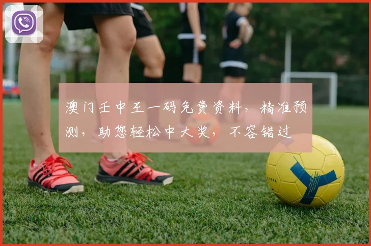 澳门壬中王一码免费资料，精准预测，助您轻松中大奖，不容错过