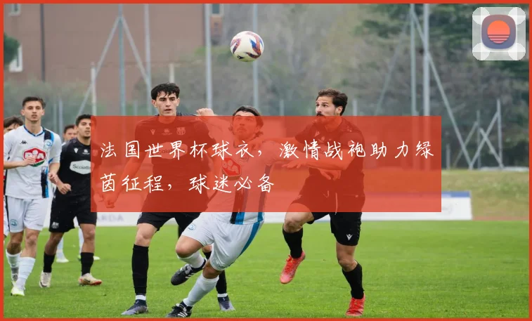 法国世界杯球衣，激情战袍助力绿茵征程，球迷必备