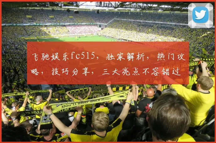 飞驰娱乐fc515，独家解析，热门攻略，技巧分享，三大亮点不容错过，体验非凡