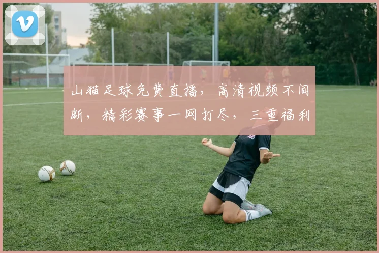 山猫足球免费直播，高清视频不间断，精彩赛事一网打尽，三重福利等你来