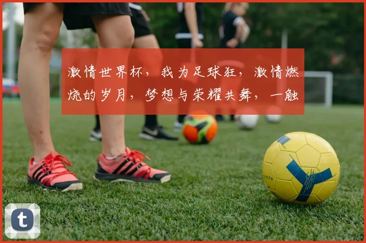 激情世界杯，我为足球狂，激情燃烧的岁月，梦想与荣耀共舞，一触即发