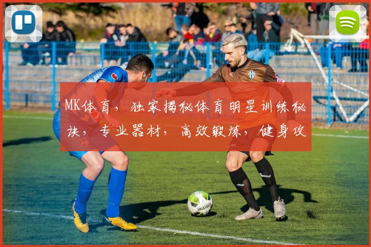 MK体育，独家揭秘体育明星训练秘诀，专业器材，高效锻炼，健身攻略，轻松打造完美身材